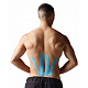 SpiderTech Lower Back Spider Blue 6 шт.